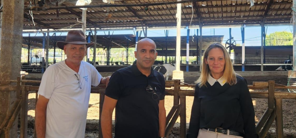 צילום מסך 2025 11 26 233721