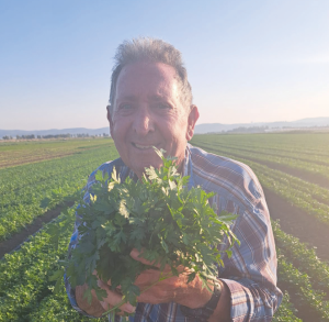 צילום מסך 2025 11 27 235501