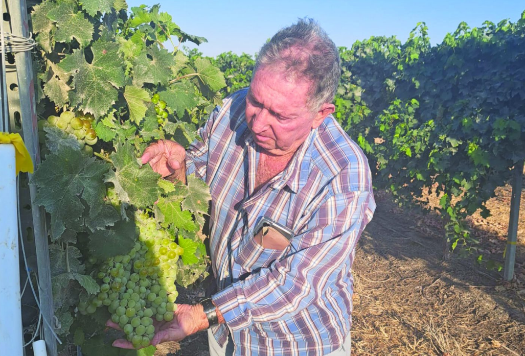 צילום מסך 2025 11 27 235611