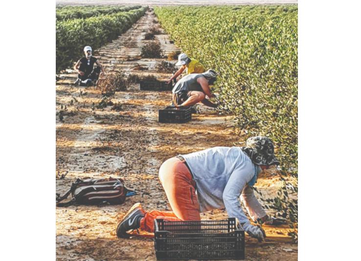 צילום מסך 2025 11 28 003626