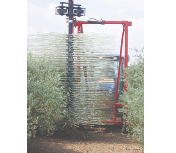 צילום מסך 2025 11 28 003716