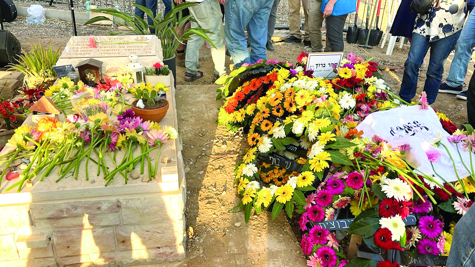 תמונה 2 761894c3 30bb 4eda ae81 16ce4f0e6423