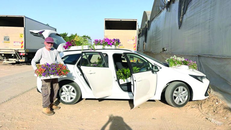 תמונה 3 ecc5e598 be2c 4ed5 8a2e b1f43108563c