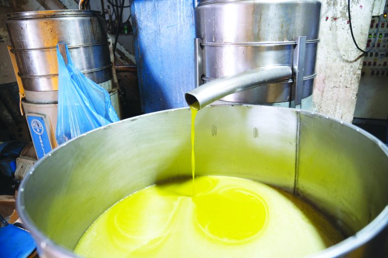 תמונה אחרי החגים 3