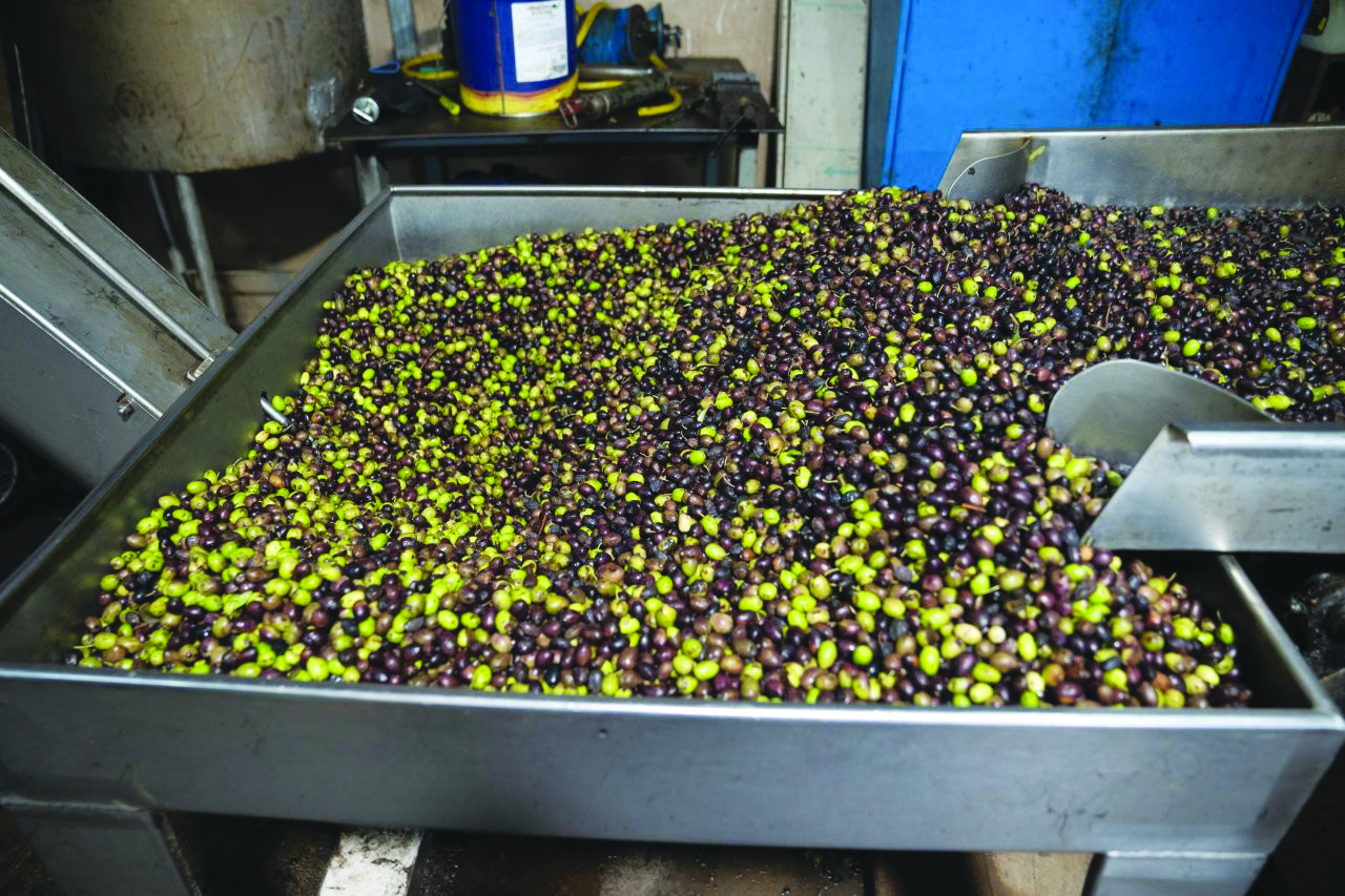 תמונה אחרי החגים2