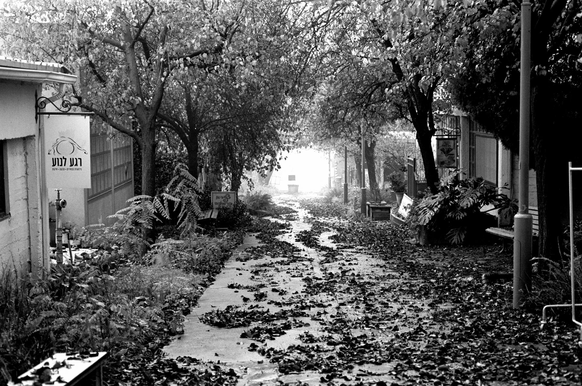 3 רונית פורת ללא כותרת 2023 2024