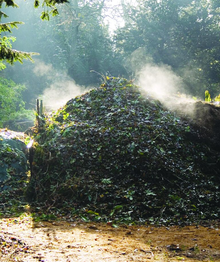 Compost Heap