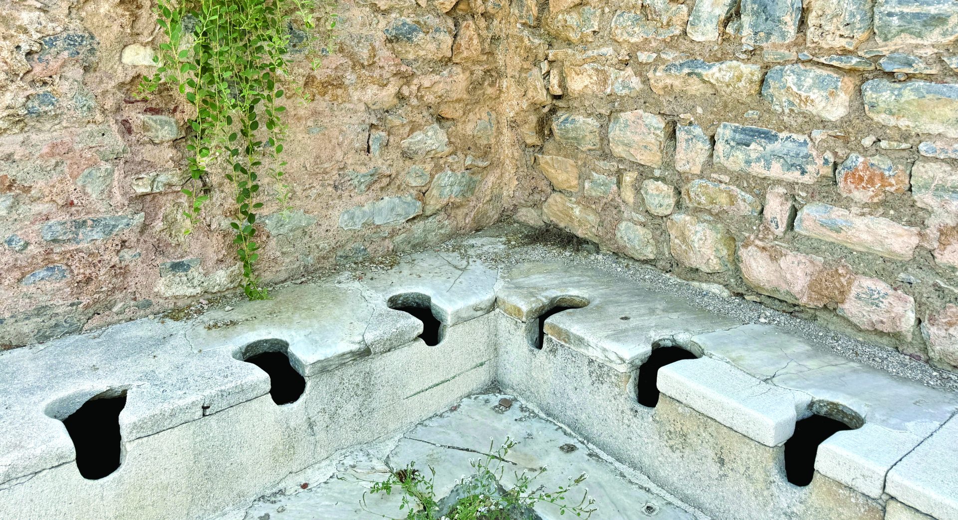 shutterstock 2543391457