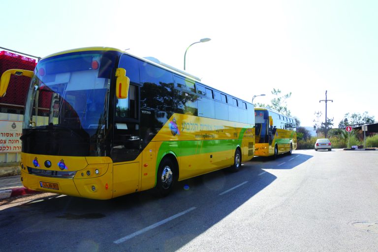 אוטובוסים צהובים