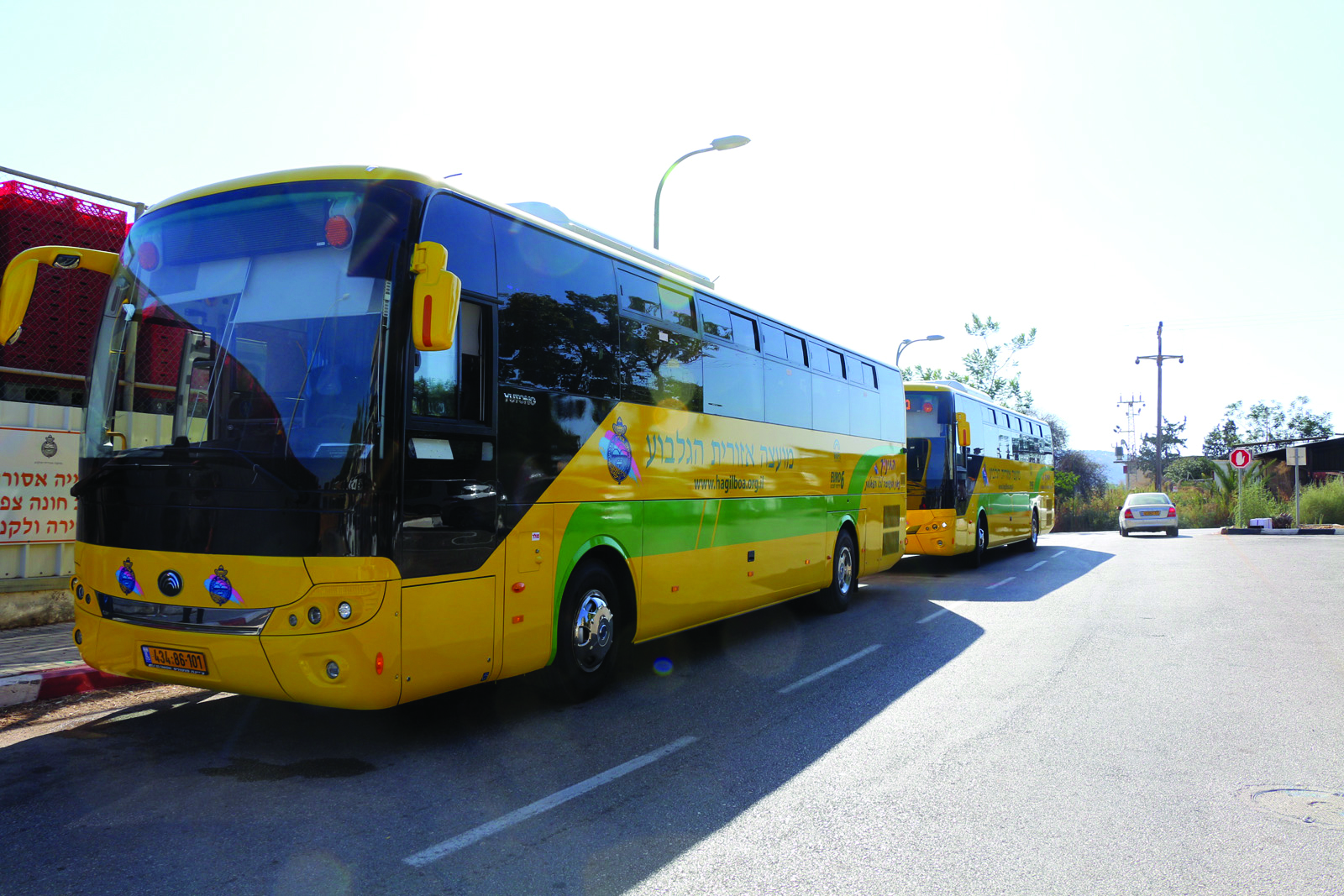 אוטובוסים צהובים