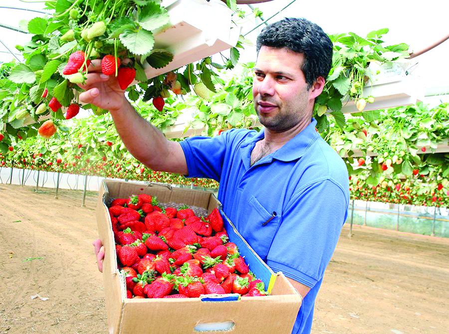 אורי והתותים