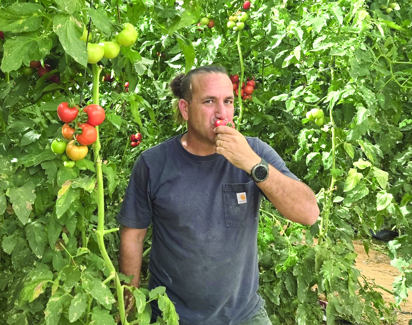 אחי סיטבון דודו מלכה