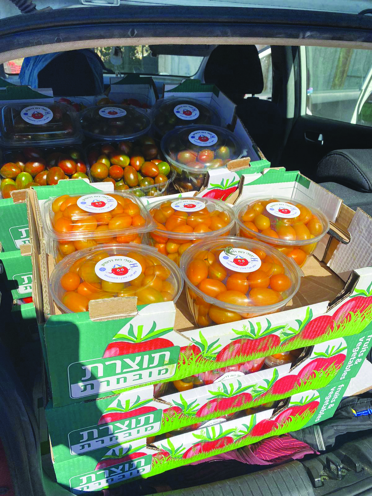 ירקות בשיווק ישיר של משר יבולי רוח דרומית