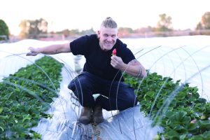 מודי בכר בשדה התותים