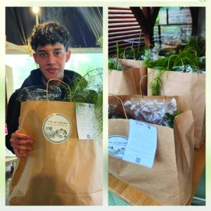 מיזם כרמלוס