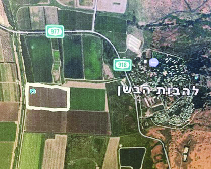 מיקום התצפית