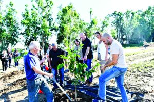 נוטעים עץ בטקס חנוכת החווה החקלאית החדשה במטה אשר
