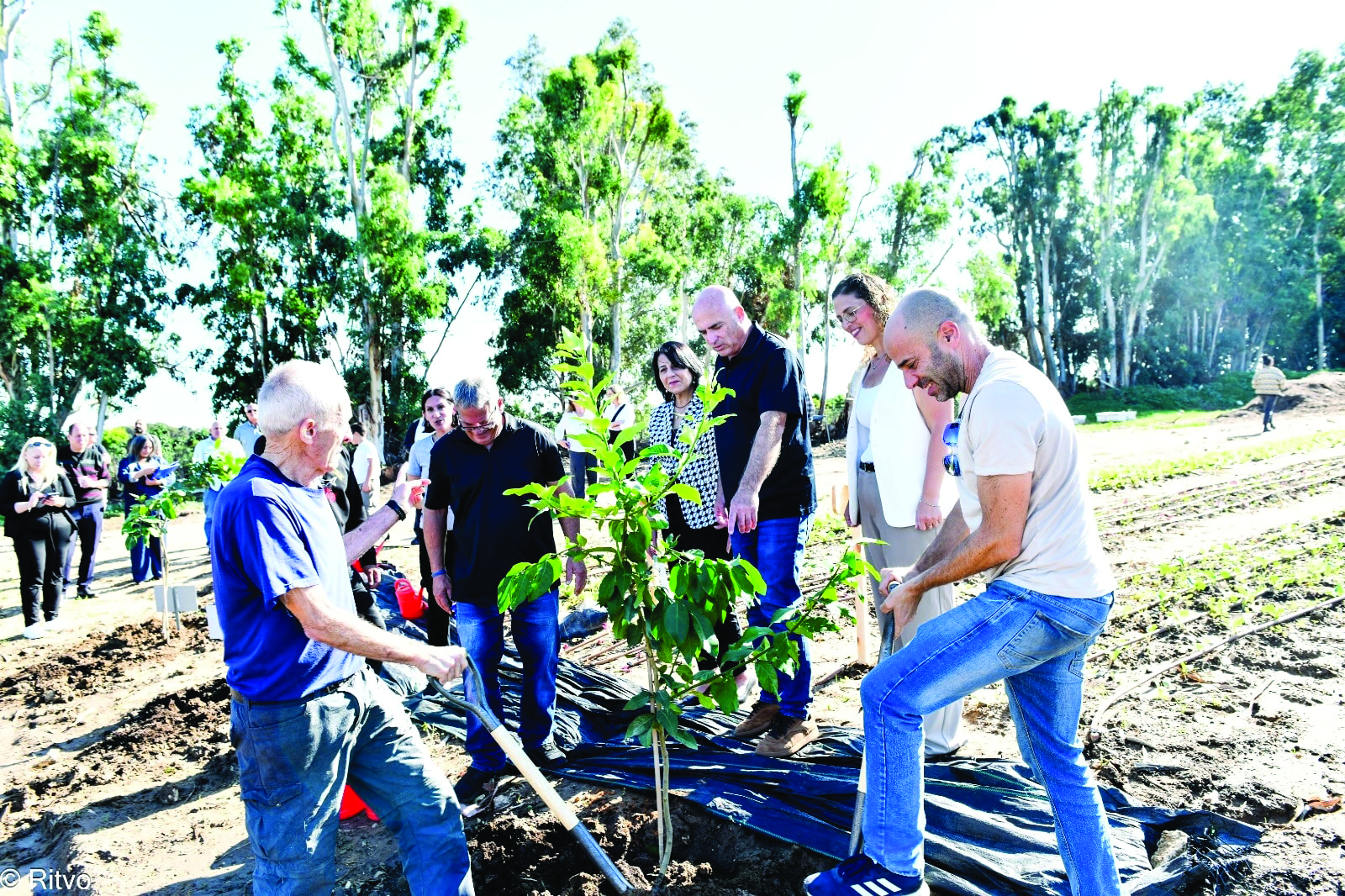 נוטעים עץ בטקס חנוכת החווה החקלאית החדשה במטה אשר