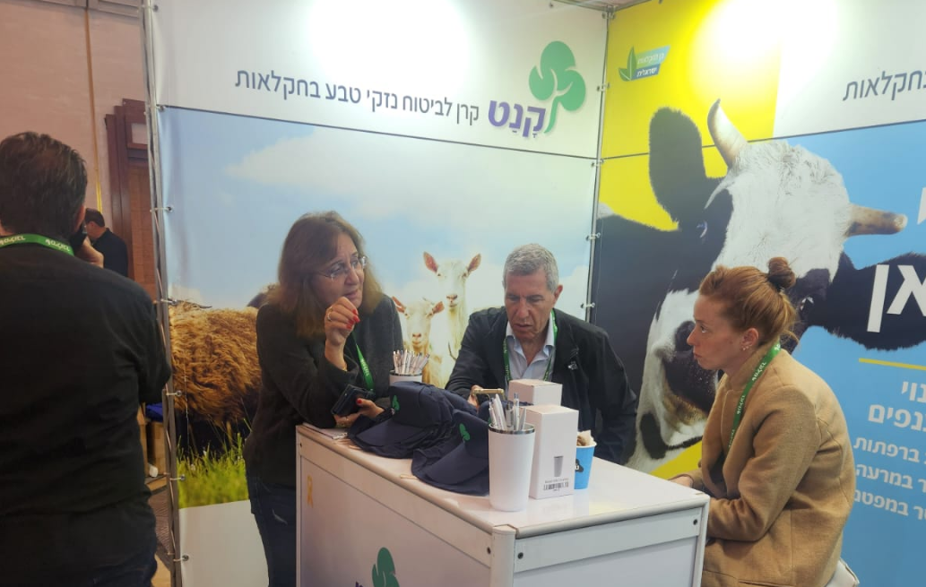 צילום מסך 2025 12 01 132554