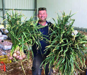 צילום מסך 2025 12 04 135333