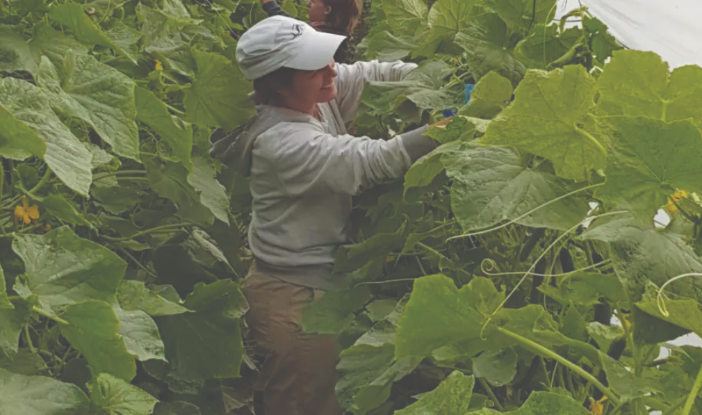 צילום מסך 2025 12 09 204420