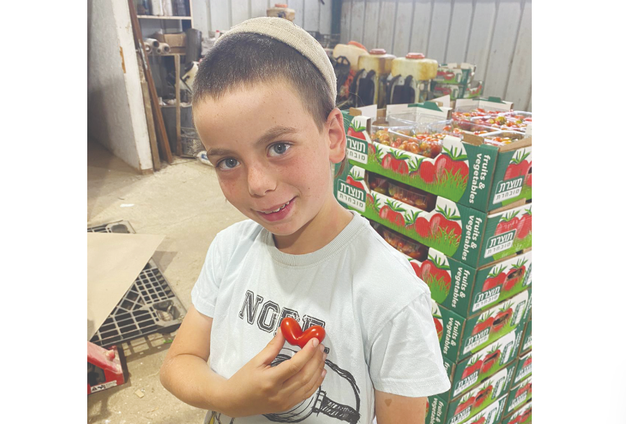 צילום מסך 2025 12 10 001055