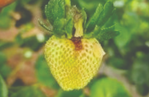 צילום מסך 2025 12 10 002447