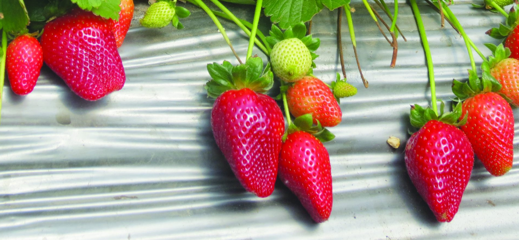 צילום מסך 2025 12 10 003102