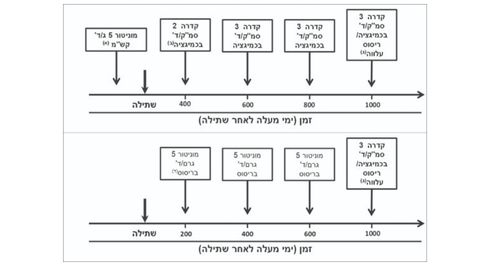 צילום מסך 2025 12 10 202123