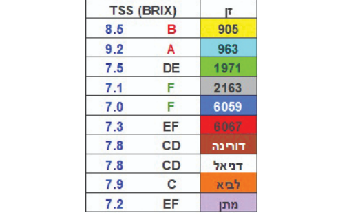 צילום מסך 2025 12 11 190836