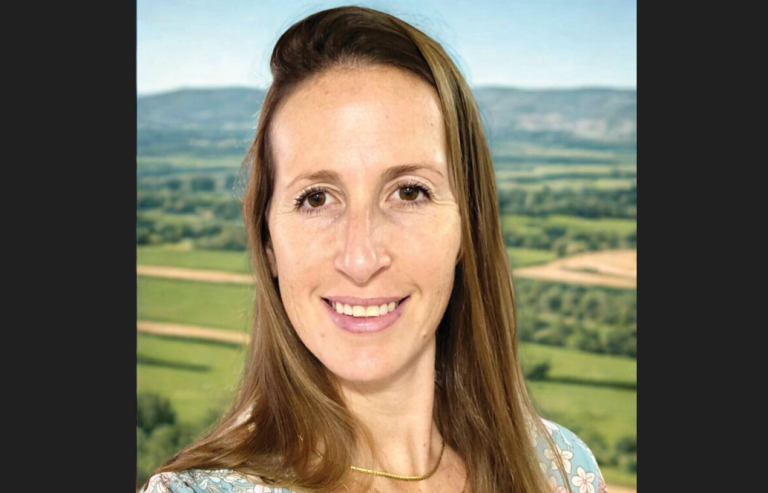 צילום מסך 2025 12 17 100627