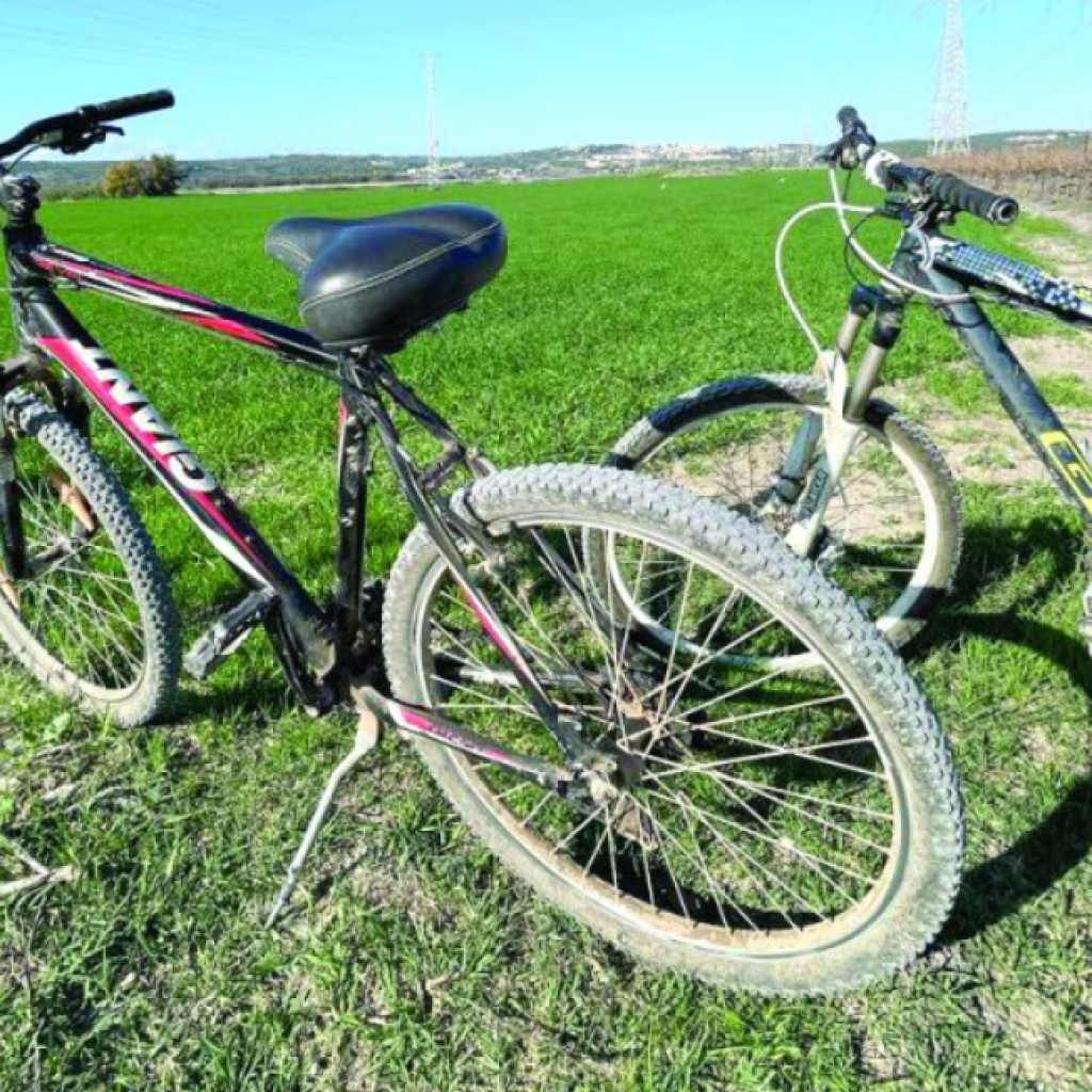 צילום מסך 2025 12 17 183346