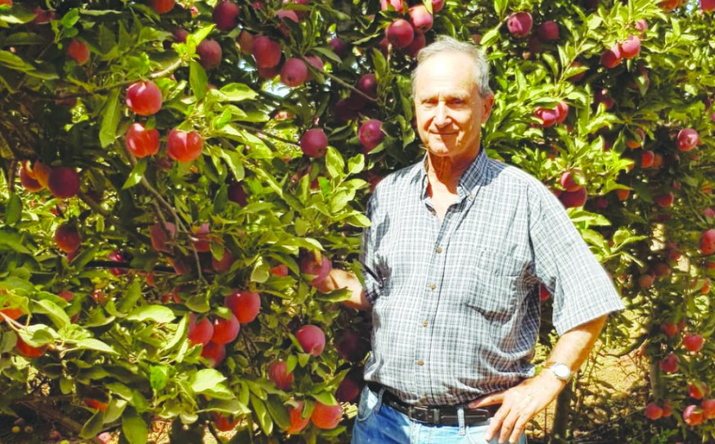 צילום מסך 2025 12 22 131756