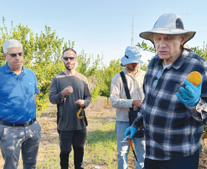 צילום מסך 2025 12 22 135246