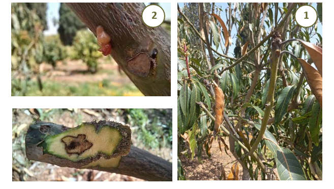 צילום מסך 2025 12 22 164137