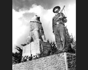 צילום מסך 2025 12 31 130437