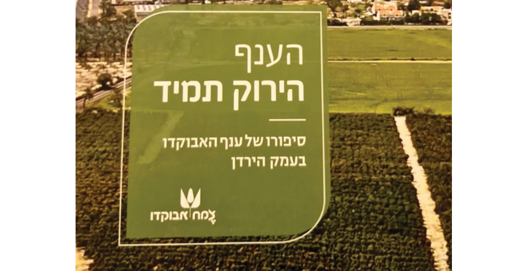 צילום מסך 2025 12 31 143631