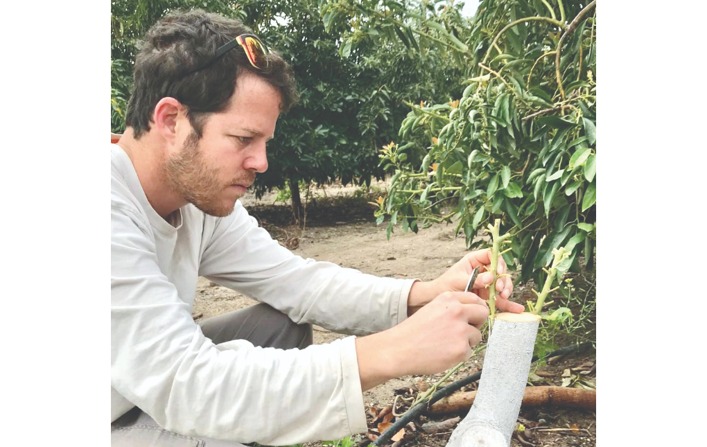 צילום מסך 2025 12 31 184703