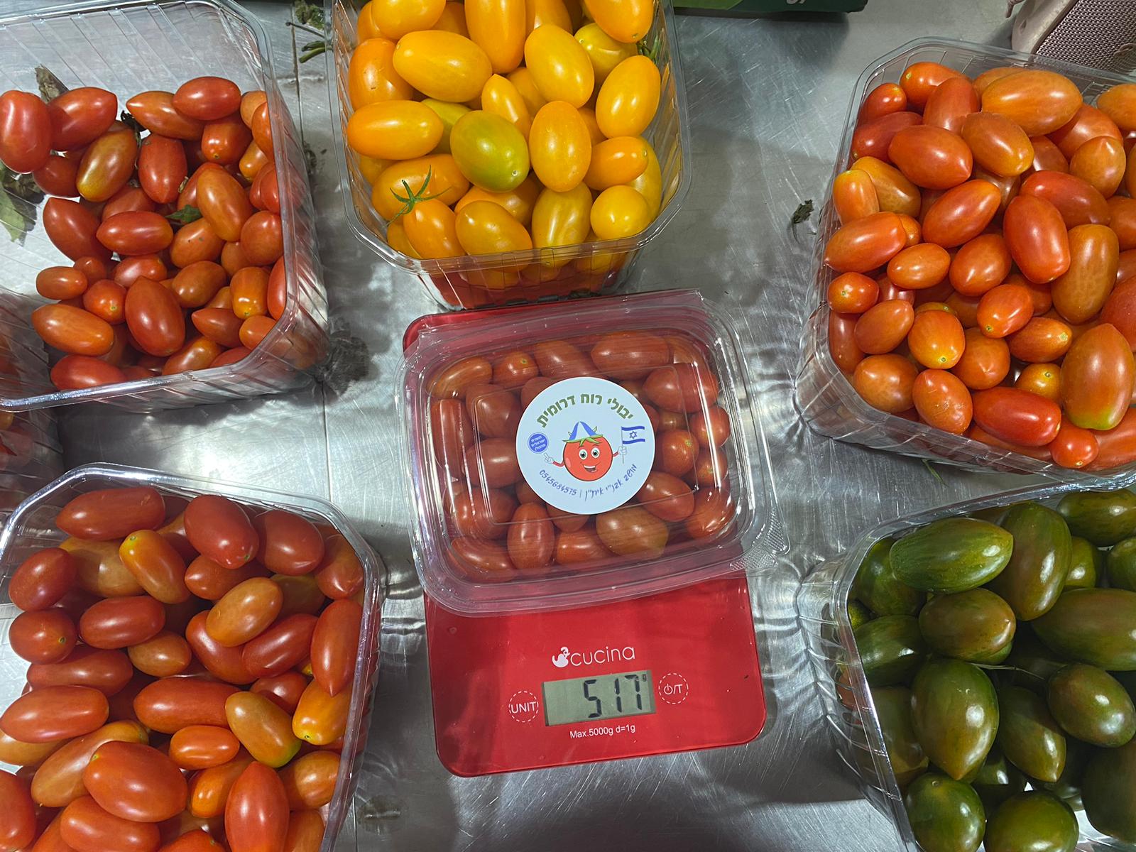 שלל סוגי עגבניות צרי ממשק רוח דרומית