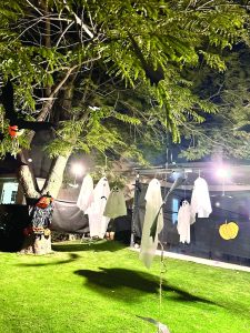 תמונה 1 013CB36B 504A 4565 A5AC C826D1525125