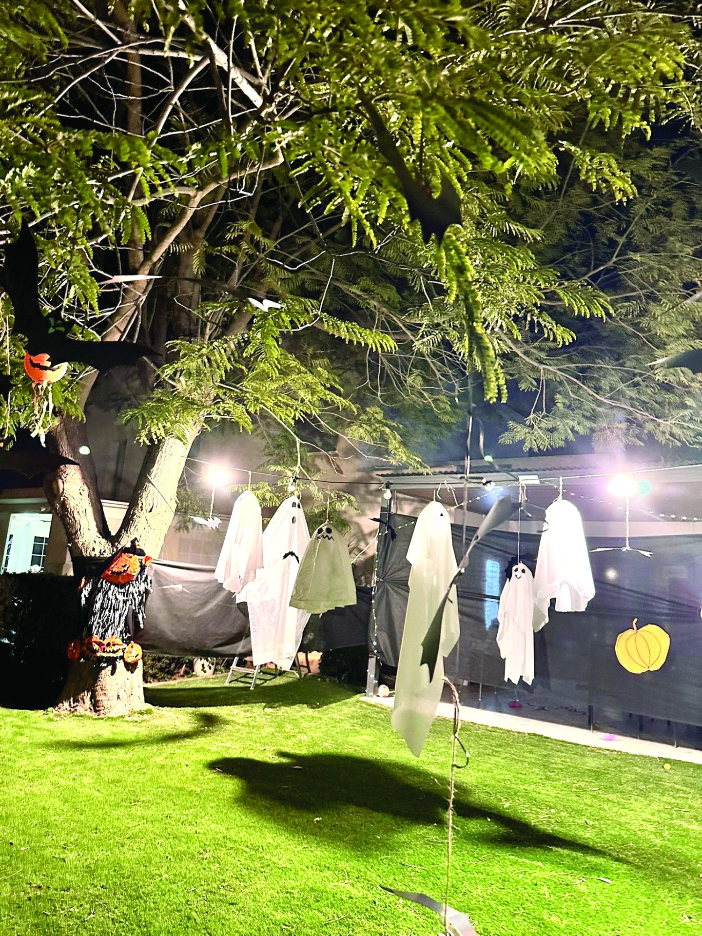 תמונה 1 013CB36B 504A 4565 A5AC C826D1525125