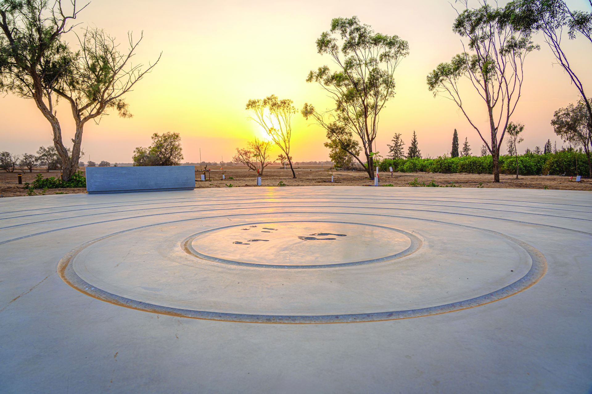 תמונה 1 DSC 06863