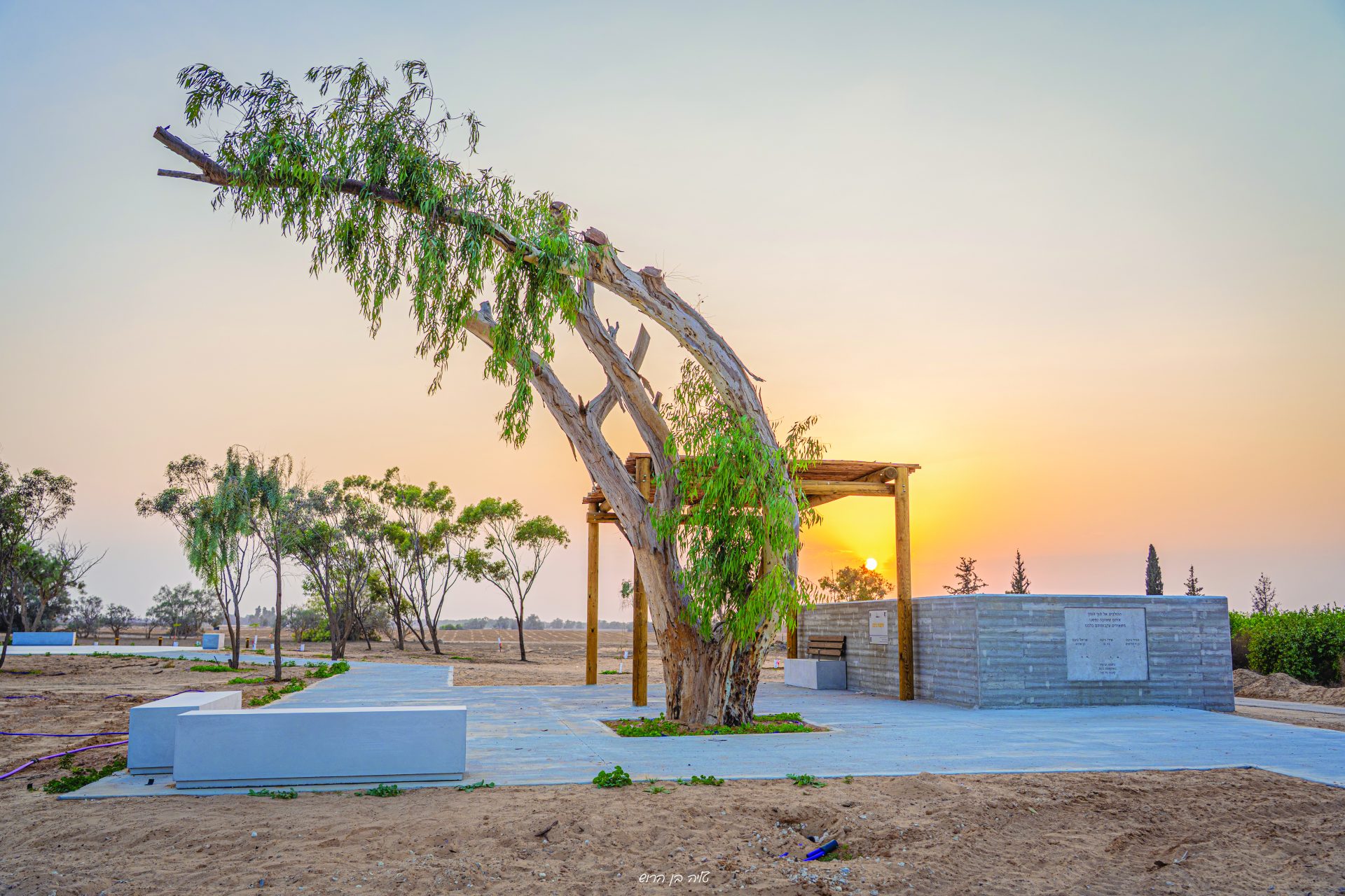 תמונה 2 DSC06871 1