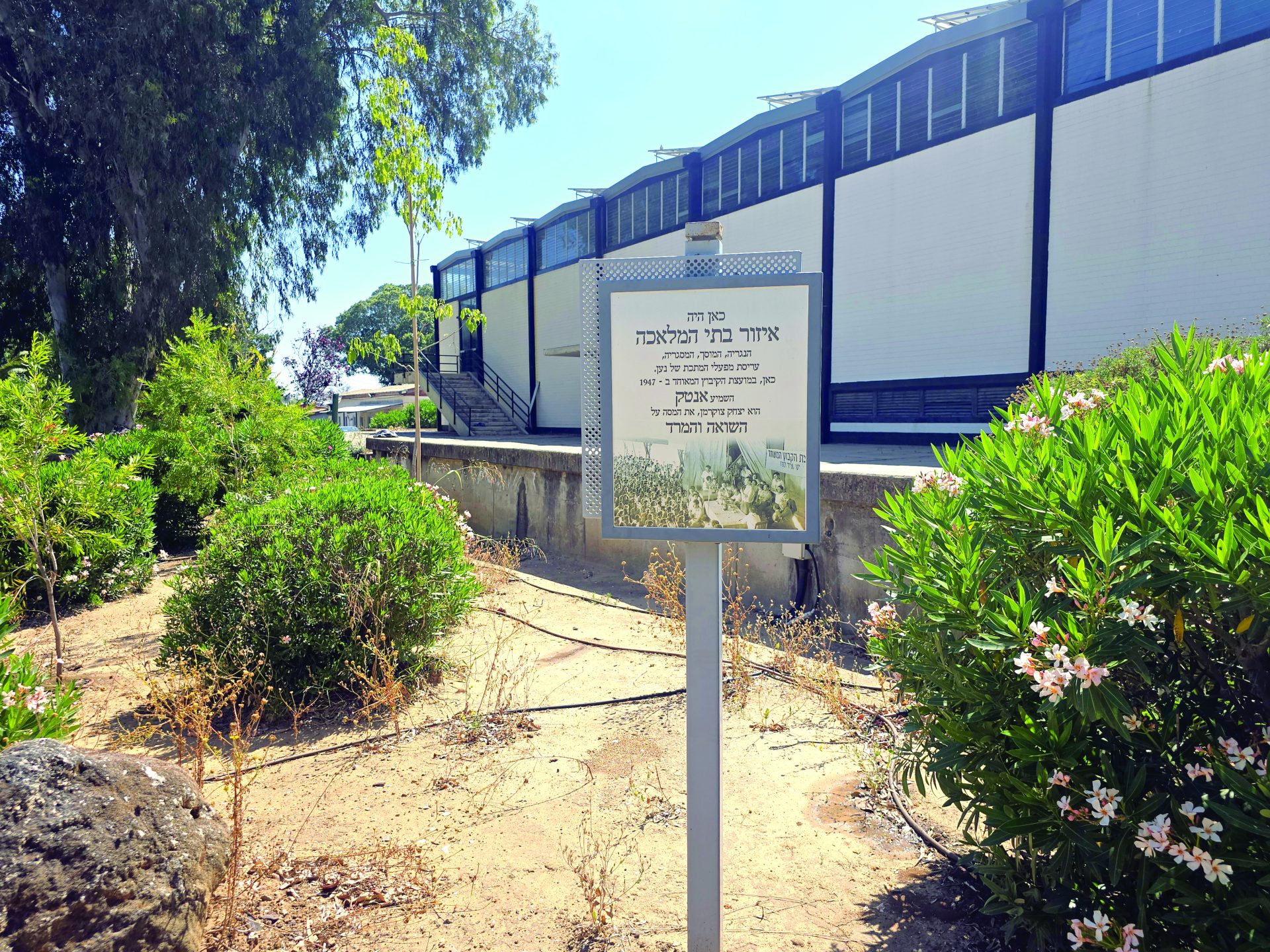 111336 kibbutz naan controlled the old workshop area PikiWiki Israel