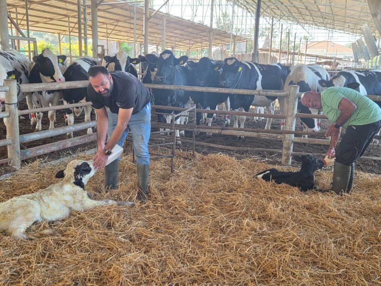 WhatsApp Image 2026 01 04 at 13.04.19