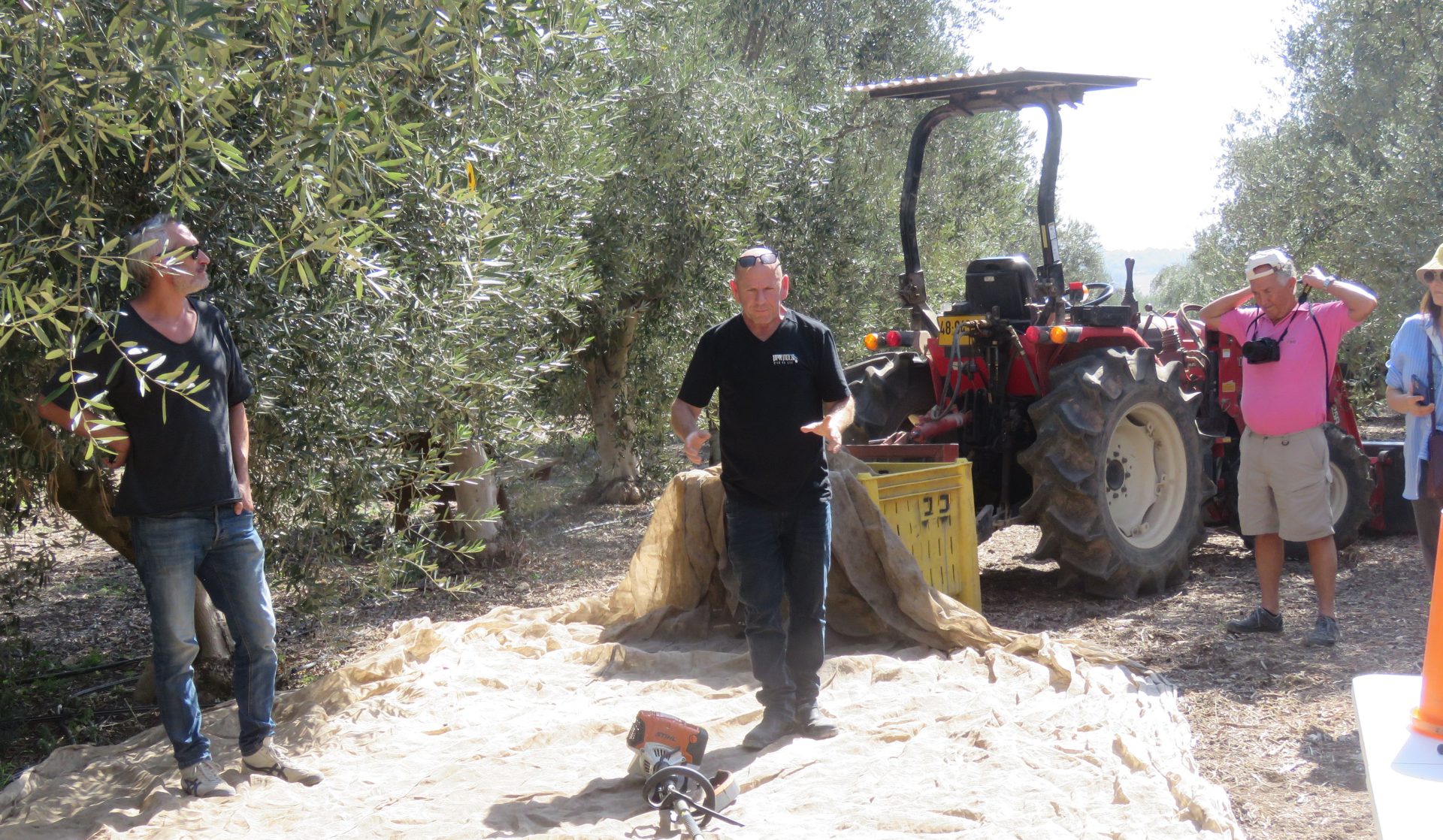 olive1644Clipboard 10 31 2025 05 (1)