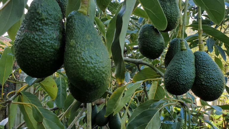 shutterstock 2496867577