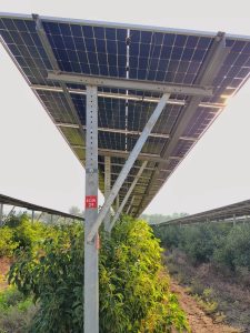 המתקן האגרו וולטאי בפרדס גשר