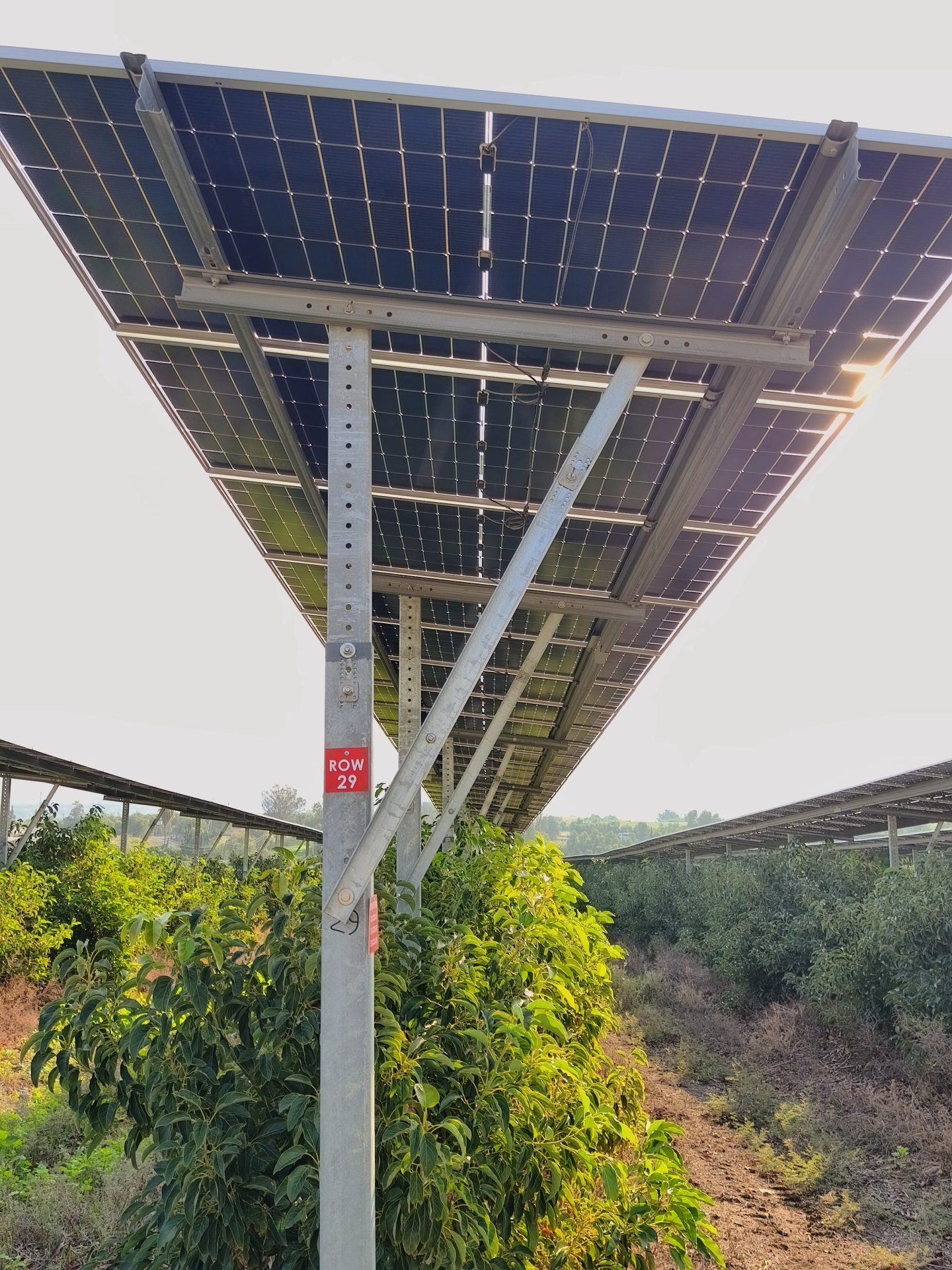 המתקן האגרו וולטאי בפרדס גשר