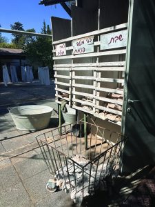 מכון איילון או המכבסה